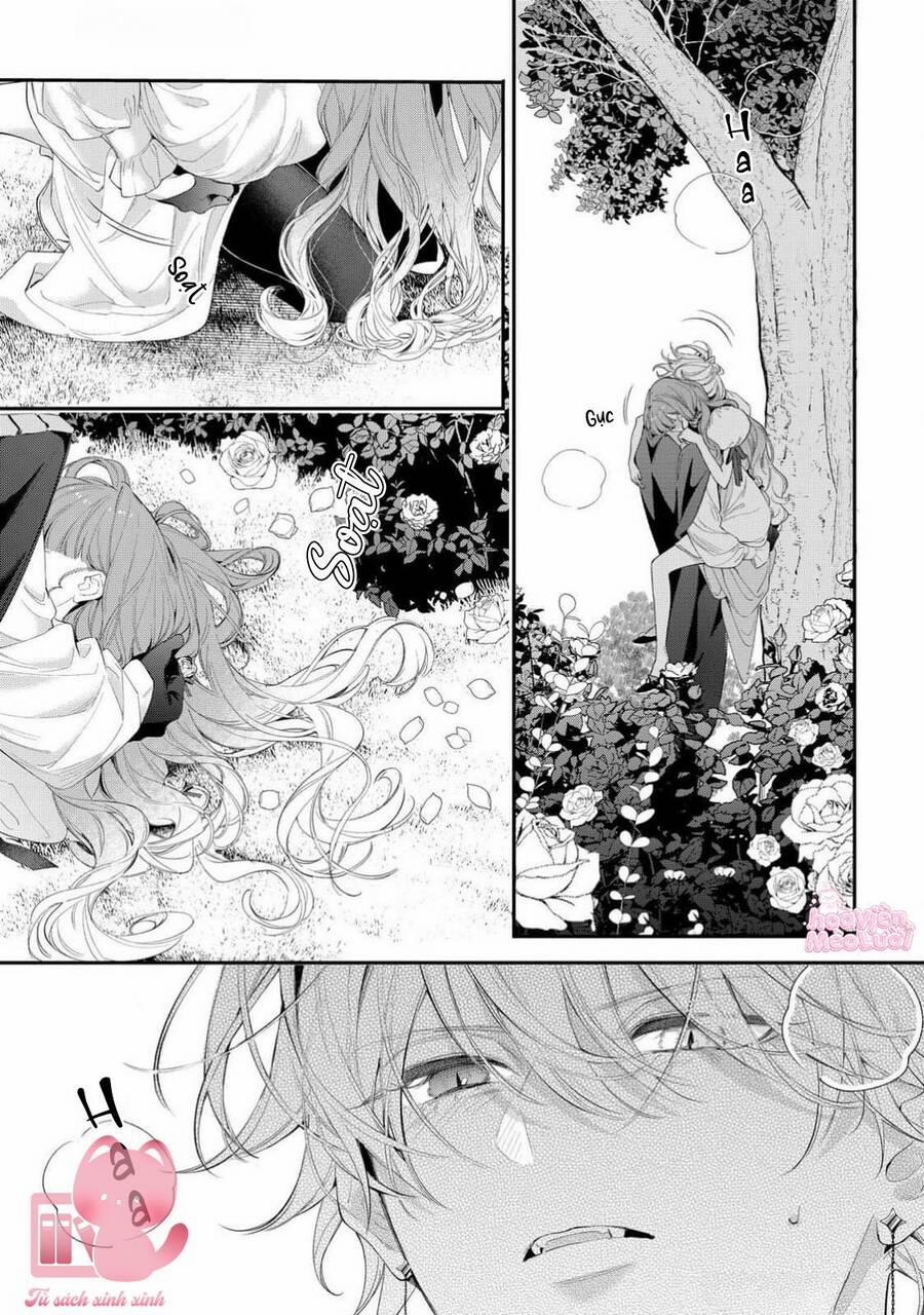 Hoa Hồng Ẩn Giấu Sao Băng 14 trang 21