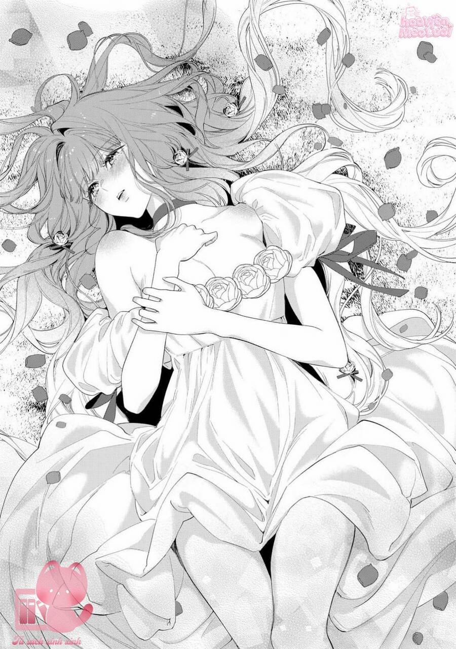 Hoa Hồng Ẩn Giấu Sao Băng 14 trang 22