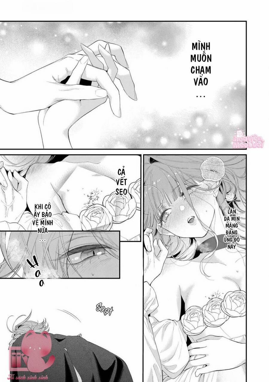 Hoa Hồng Ẩn Giấu Sao Băng 14 trang 25