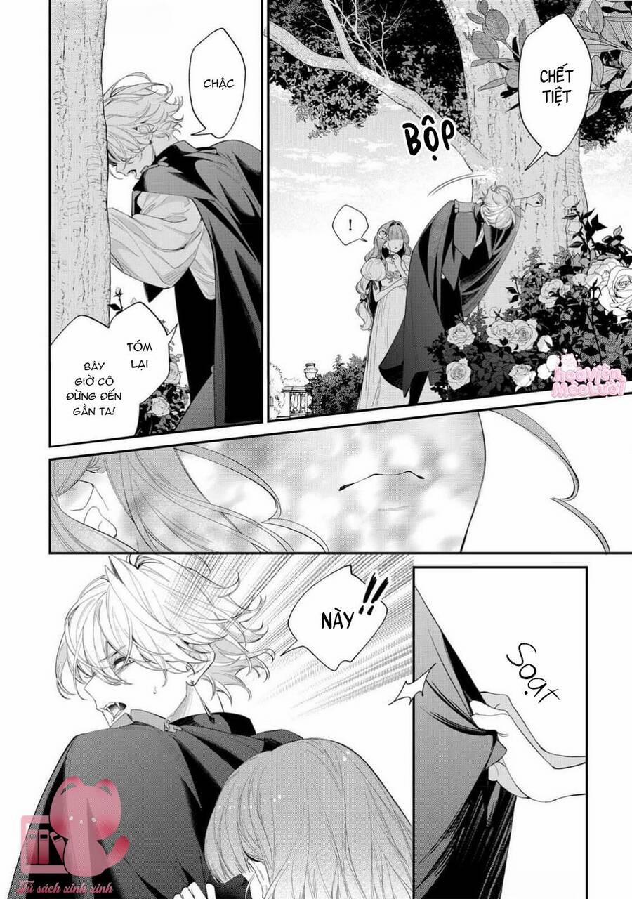 Hoa Hồng Ẩn Giấu Sao Băng 14 trang 6