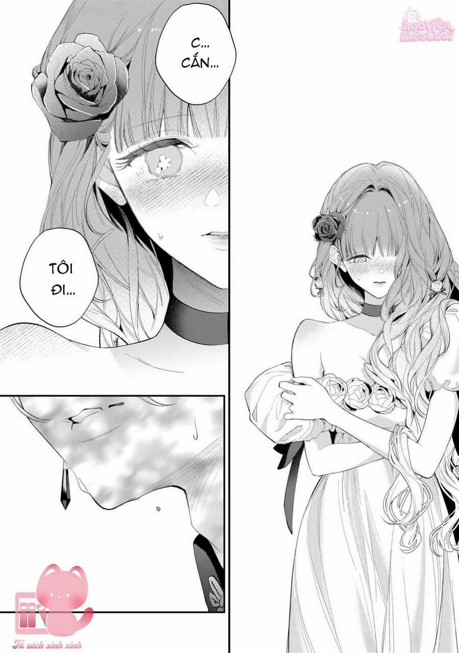 Hoa Hồng Ẩn Giấu Sao Băng 14 trang 8