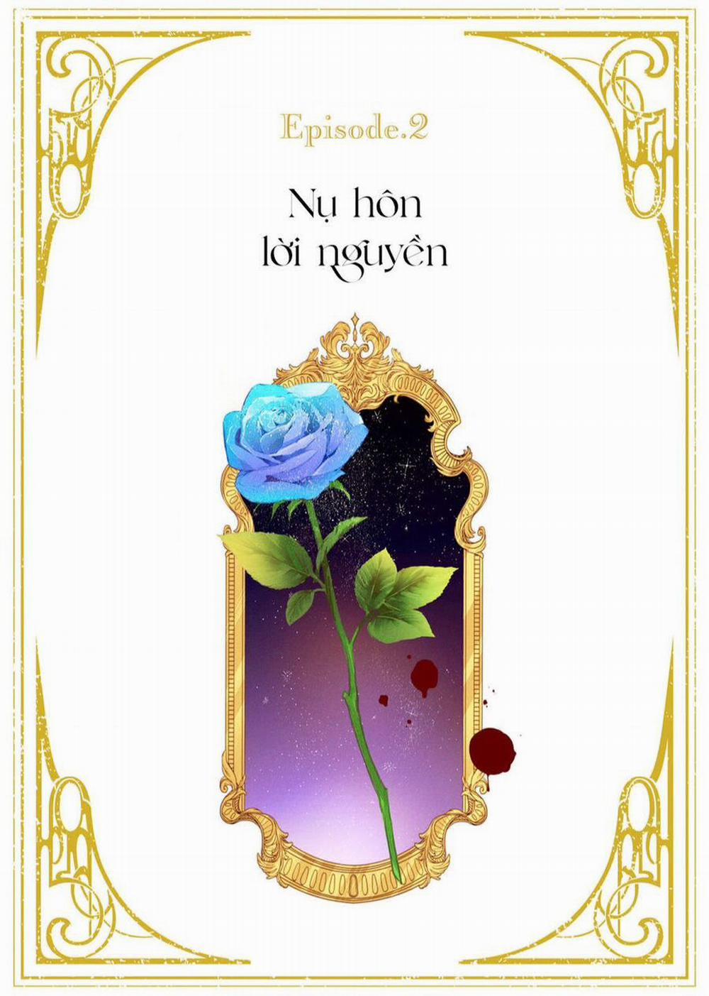 Hoa Hồng Ẩn Giấu Sao Băng 2 trang 2