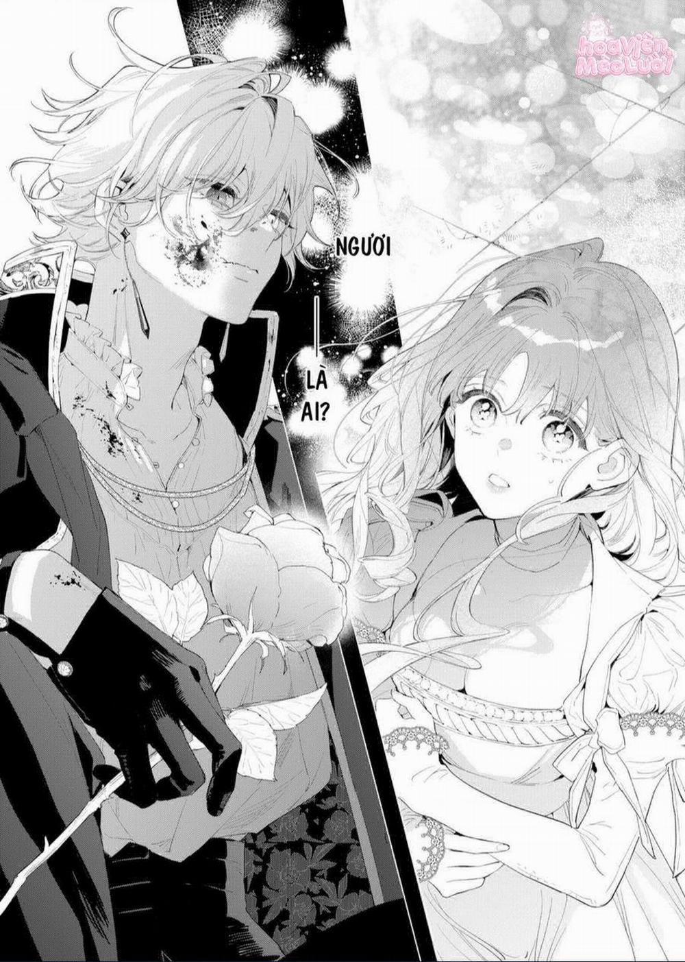 Hoa Hồng Ẩn Giấu Sao Băng 2 trang 3