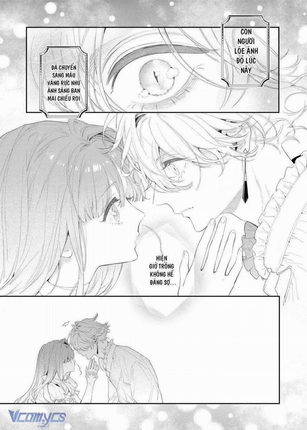 Hoa Hồng Ẩn Giấu Sao Băng 3 trang 10