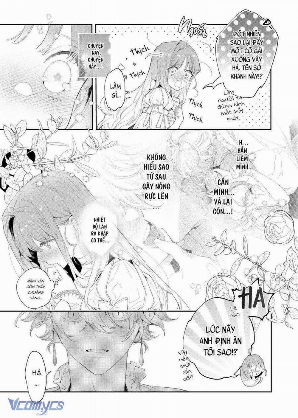 Hoa Hồng Ẩn Giấu Sao Băng 3 trang 6