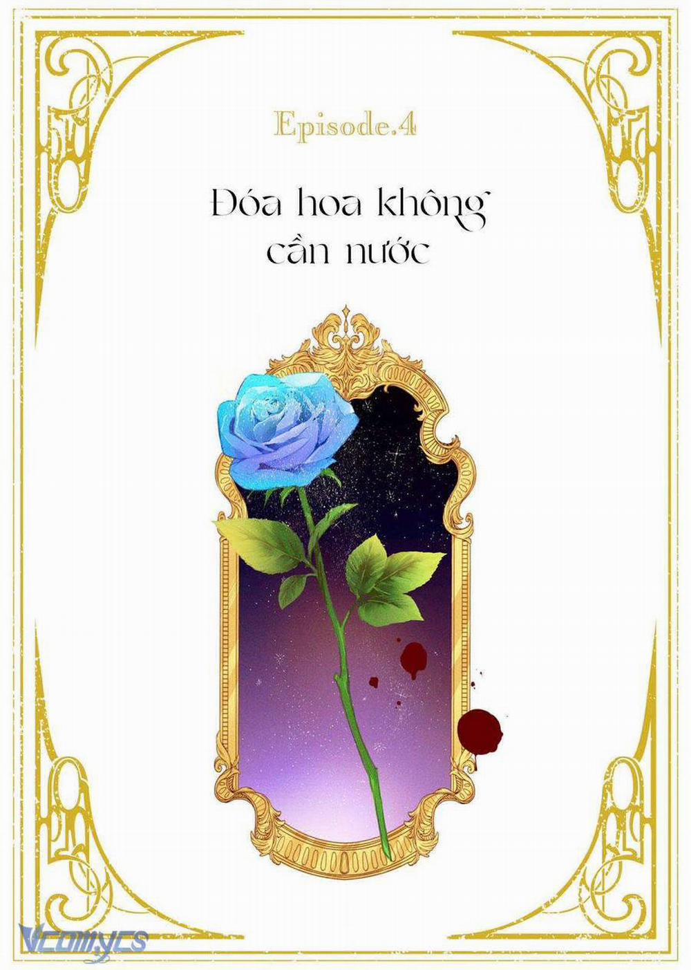 Hoa Hồng Ẩn Giấu Sao Băng 4 trang 1