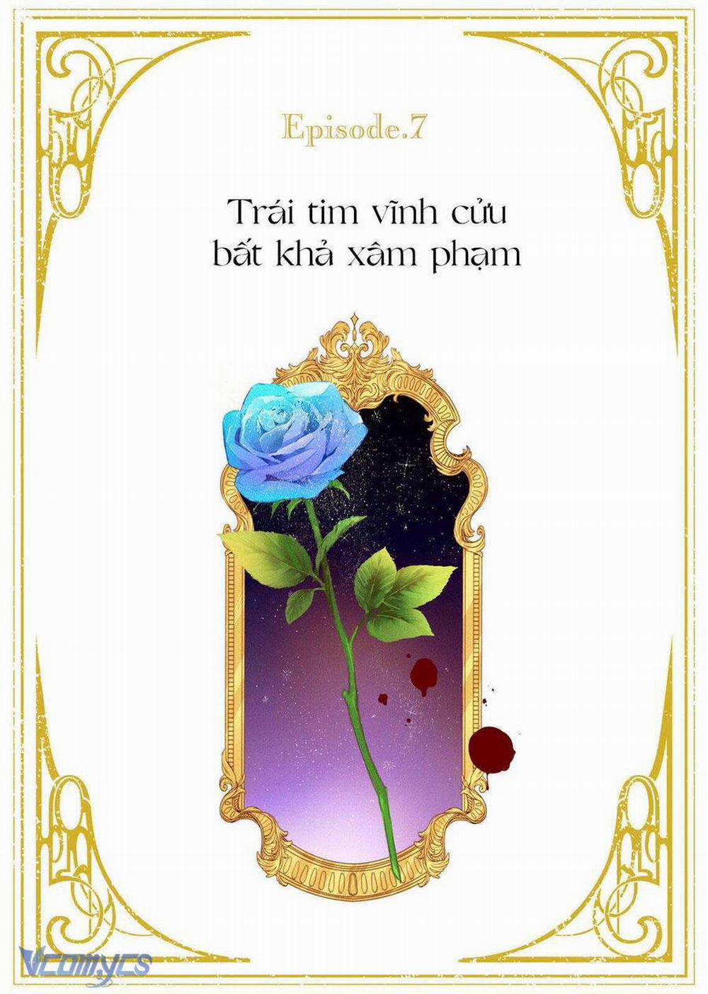 Hoa Hồng Ẩn Giấu Sao Băng 7 trang 1