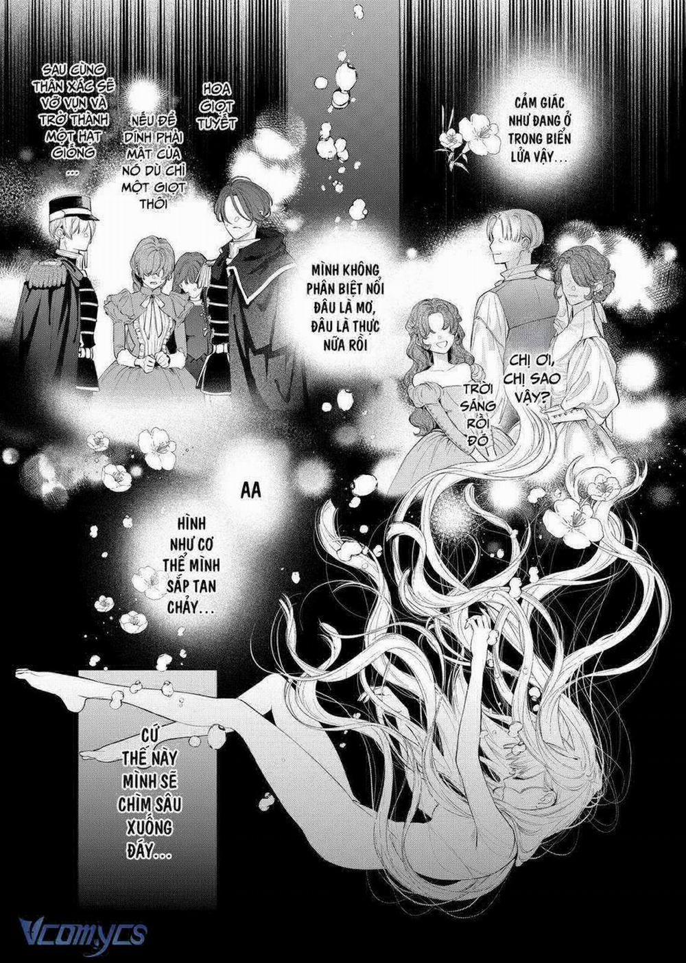 Hoa Hồng Ẩn Giấu Sao Băng 7 trang 4