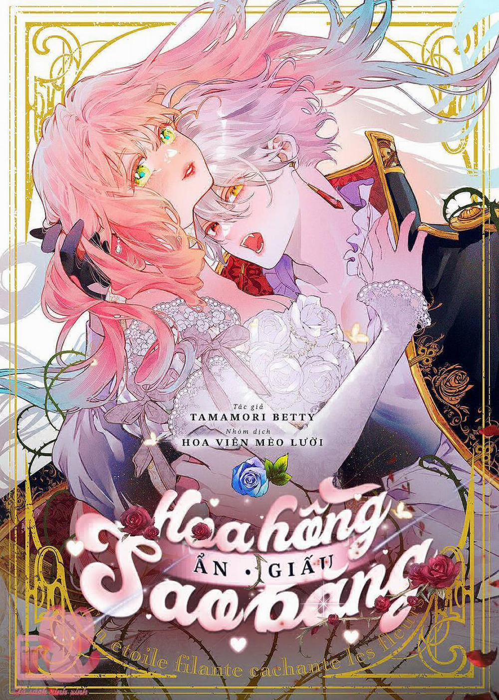 Hoa Hồng Ẩn Giấu Sao Băng 8 trang 1