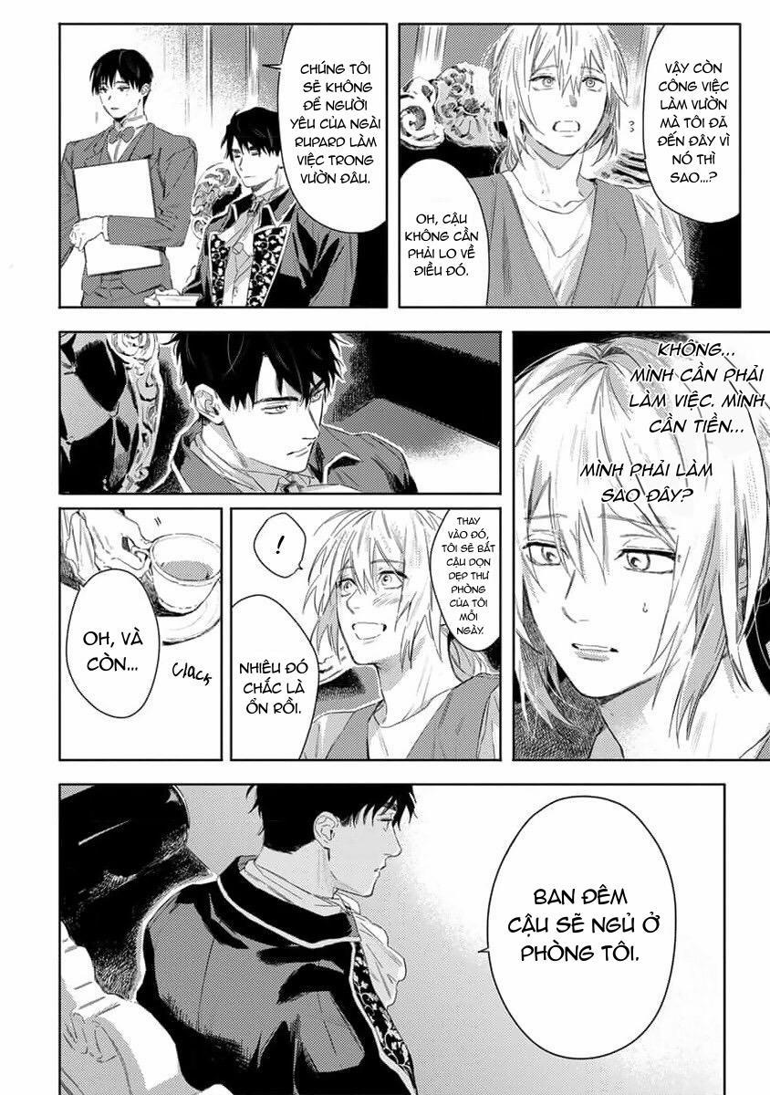 Hoa Hồng Dại Và Những Kẻ Giả Tạo 1 trang 30