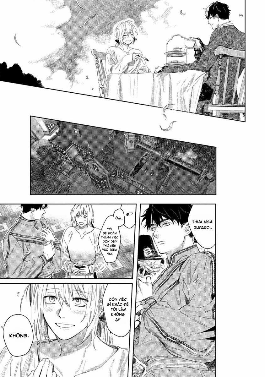 Hoa Hồng Dại Và Những Kẻ Giả Tạo 2 trang 20