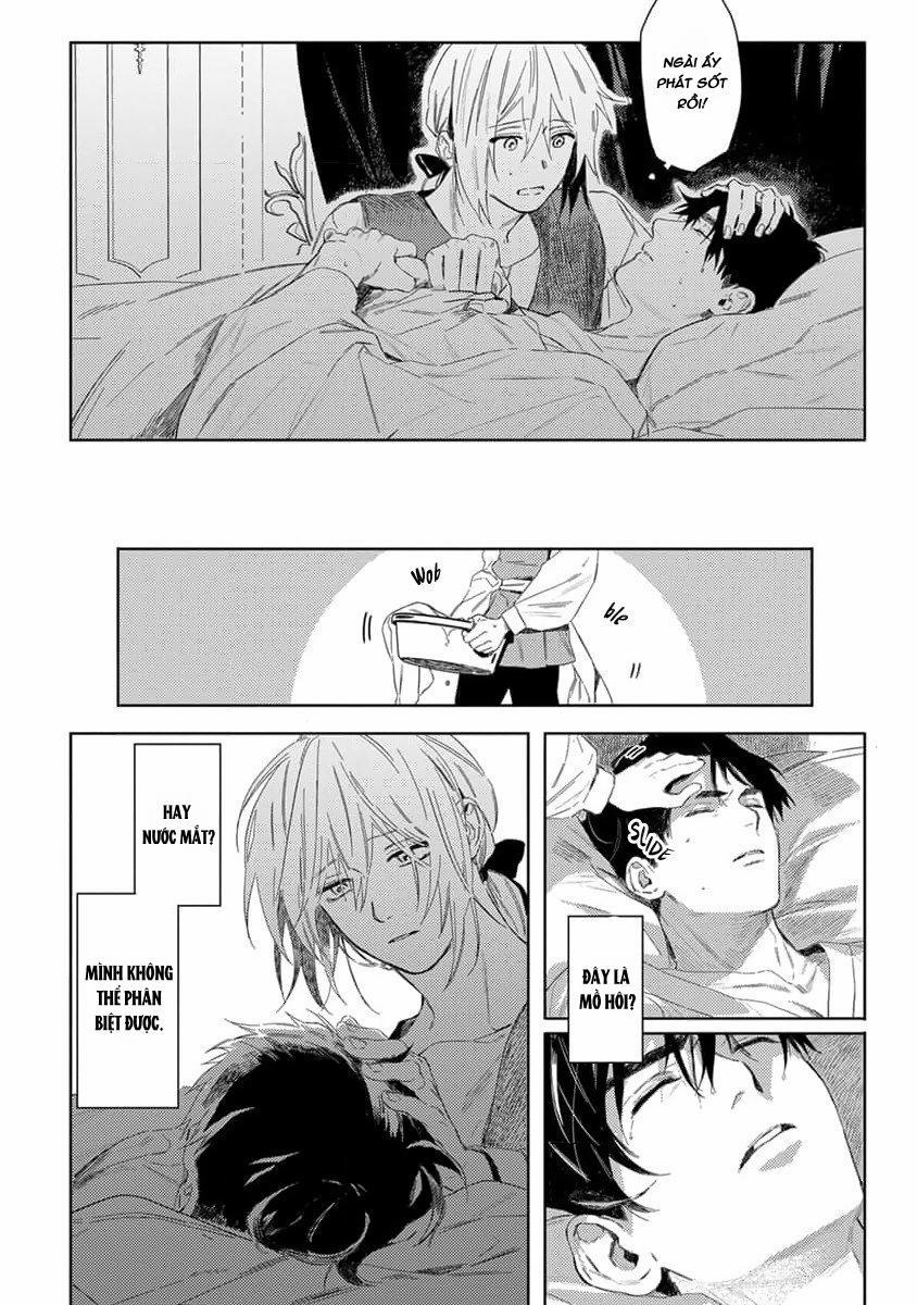 Hoa Hồng Dại Và Những Kẻ Giả Tạo 2 trang 5