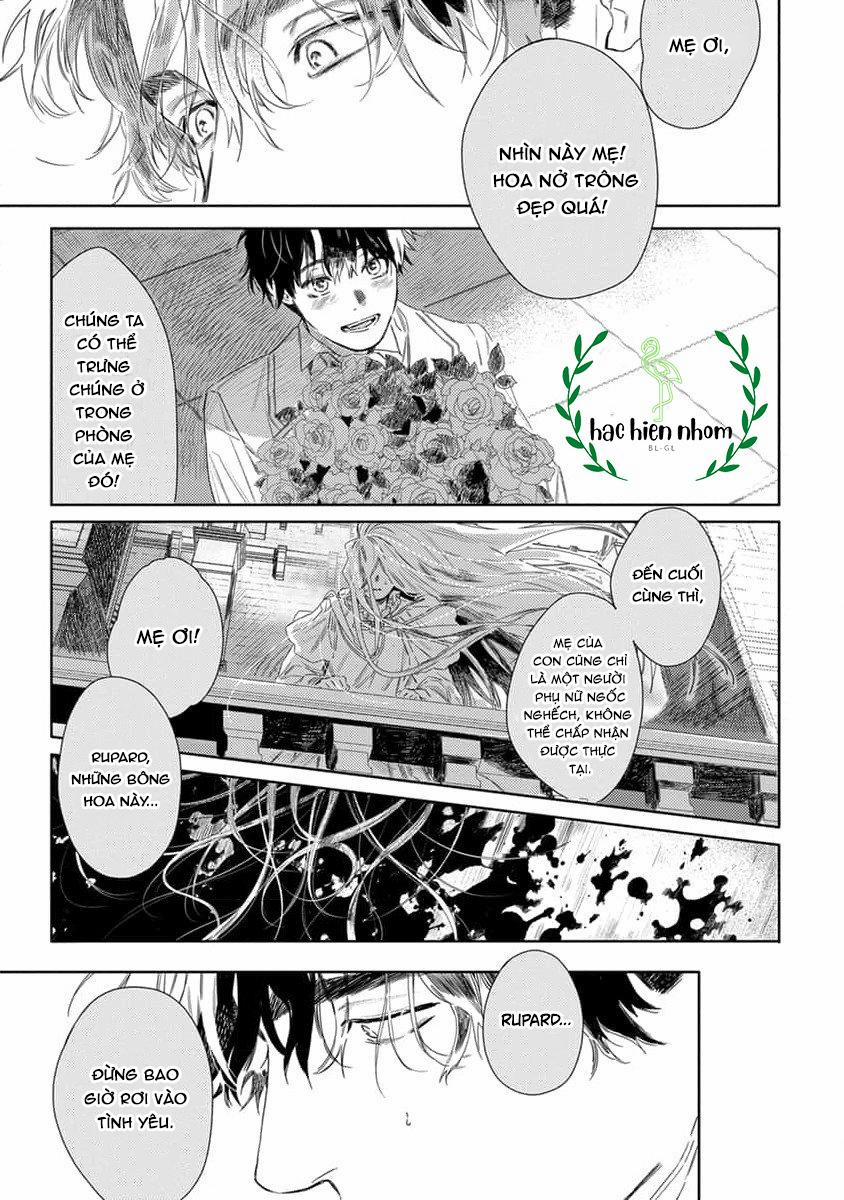 Hoa Hồng Dại Và Những Kẻ Giả Tạo 4 trang 16