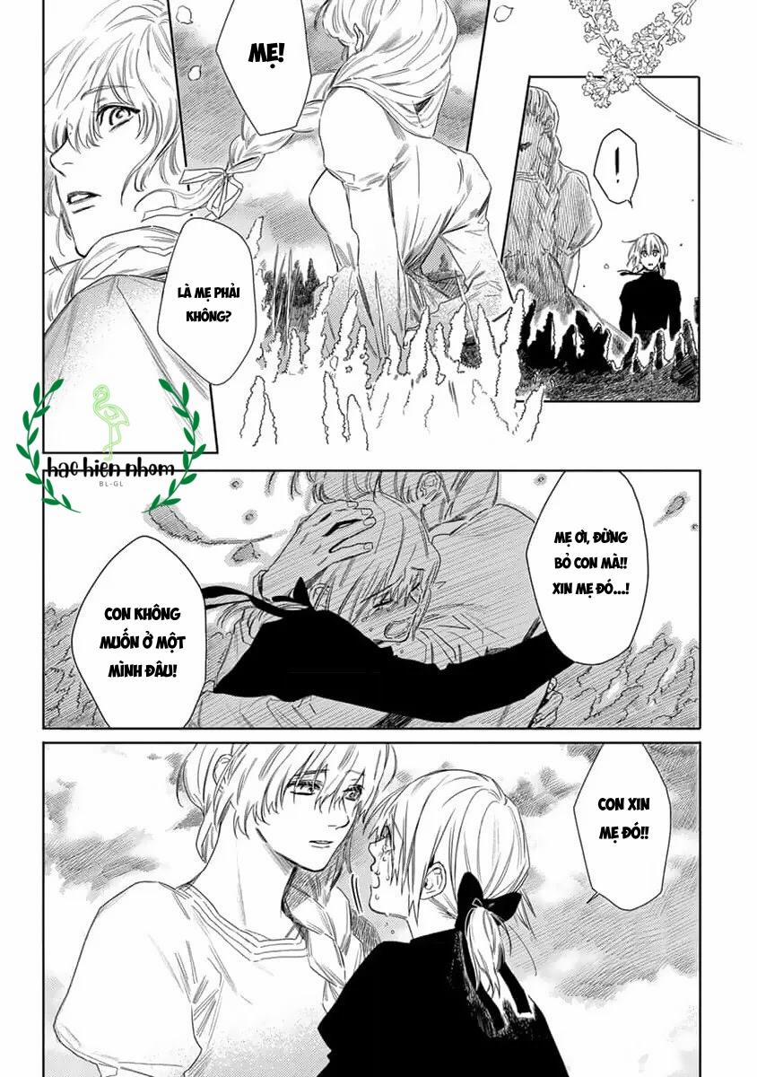 Hoa Hồng Dại Và Những Kẻ Giả Tạo 7 trang 12