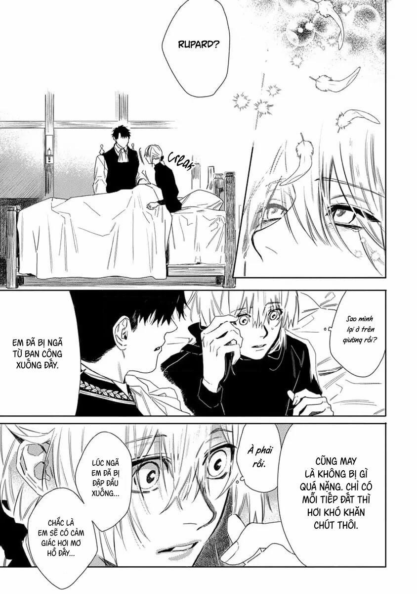 Hoa Hồng Dại Và Những Kẻ Giả Tạo 7 trang 14