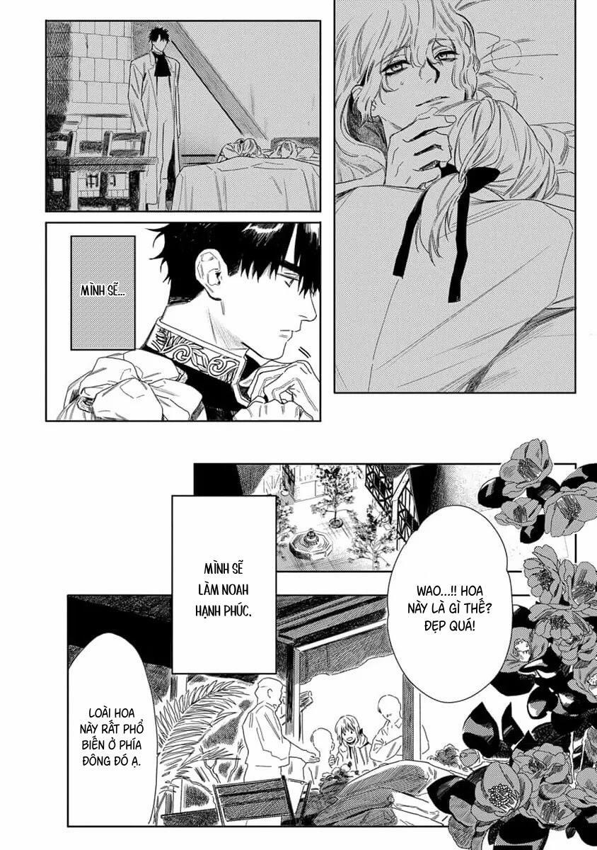 Hoa Hồng Dại Và Những Kẻ Giả Tạo 7 trang 33