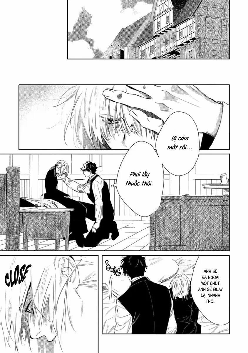 Hoa Hồng Dại Và Những Kẻ Giả Tạo 7 trang 8