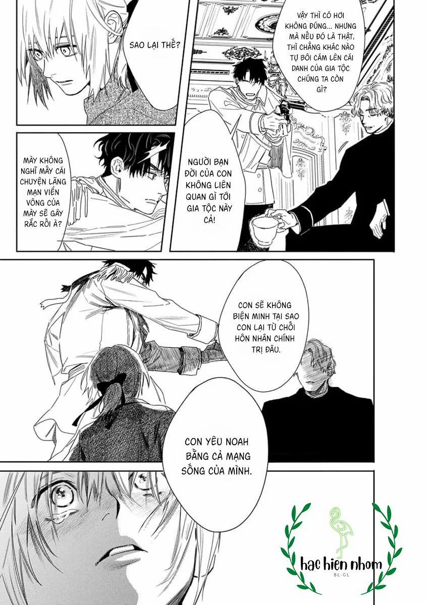 Hoa Hồng Dại Và Những Kẻ Giả Tạo 8 trang 11