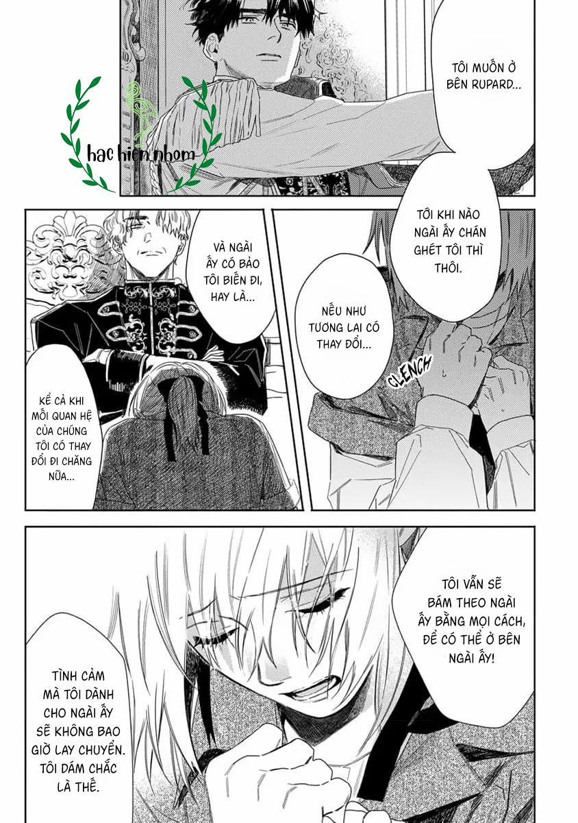 Hoa Hồng Dại Và Những Kẻ Giả Tạo 8 trang 13