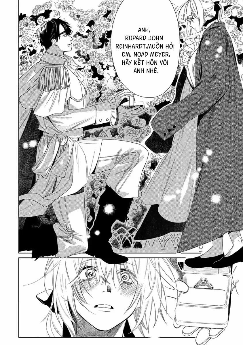 Hoa Hồng Dại Và Những Kẻ Giả Tạo 9 trang 17