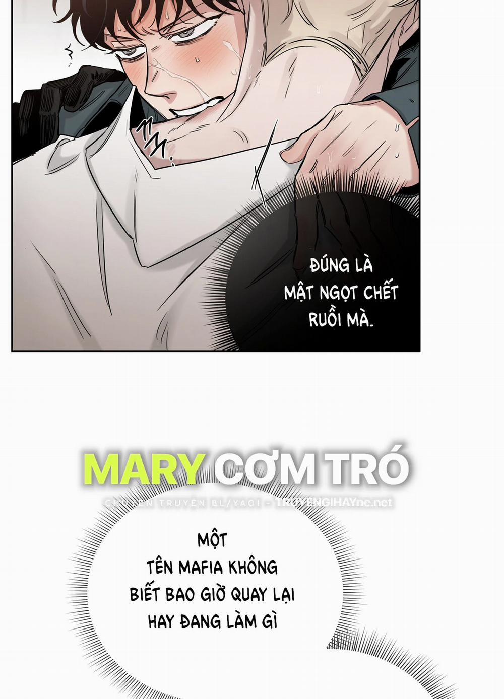 Hoa Hồng Và Ly Champagne 58.1 trang 26