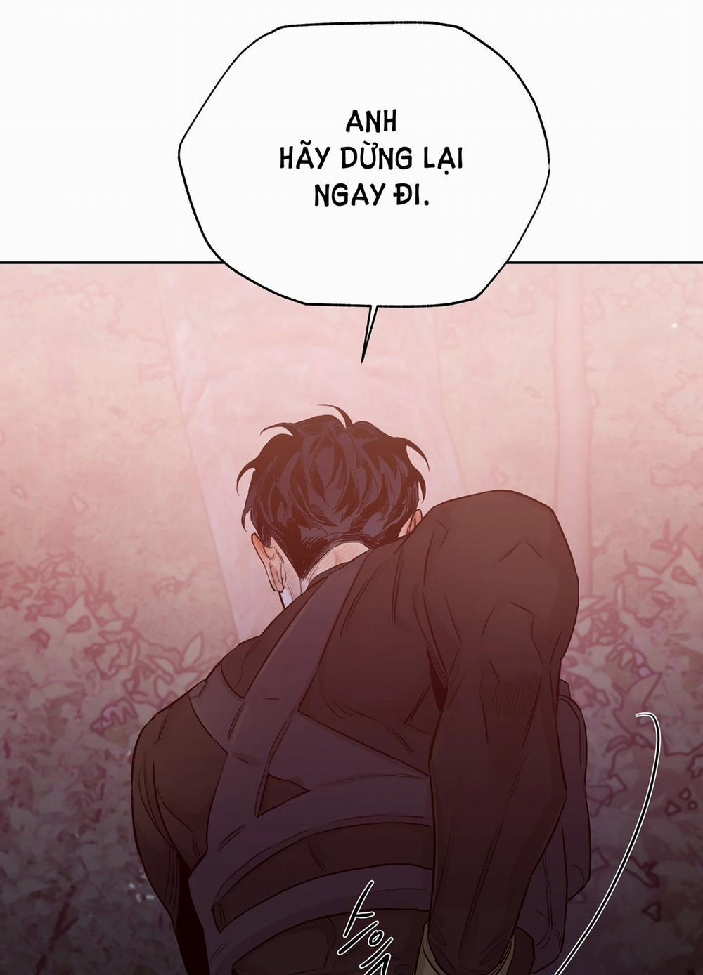 Hoa Hồng Và Ly Champagne 62.2 trang 0