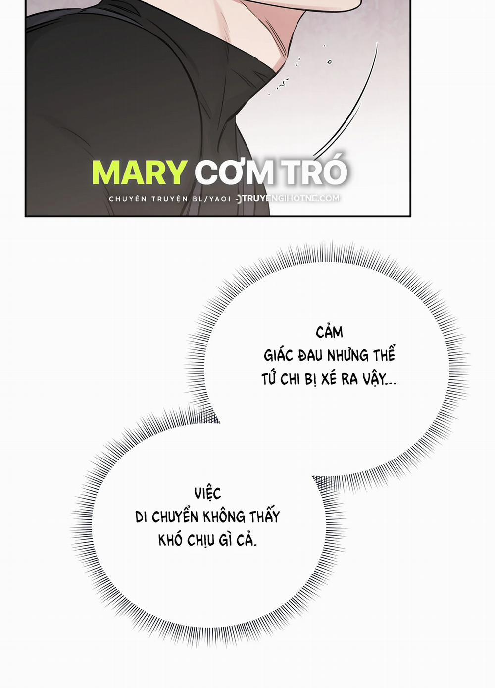 Hoa Hồng Và Ly Champagne 62.2 trang 19