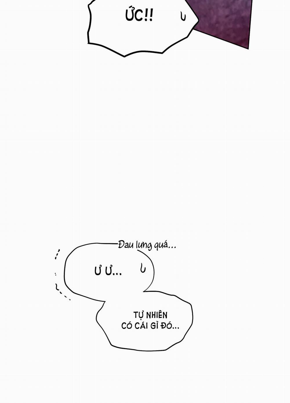 Hoa Hồng Và Ly Champagne 63.2 trang 3