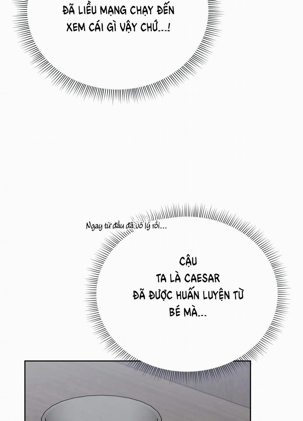 Hoa Hồng Và Ly Champagne 64.1 trang 29