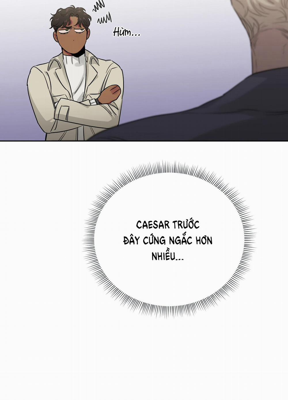 Hoa Hồng Và Ly Champagne 64.2 trang 5