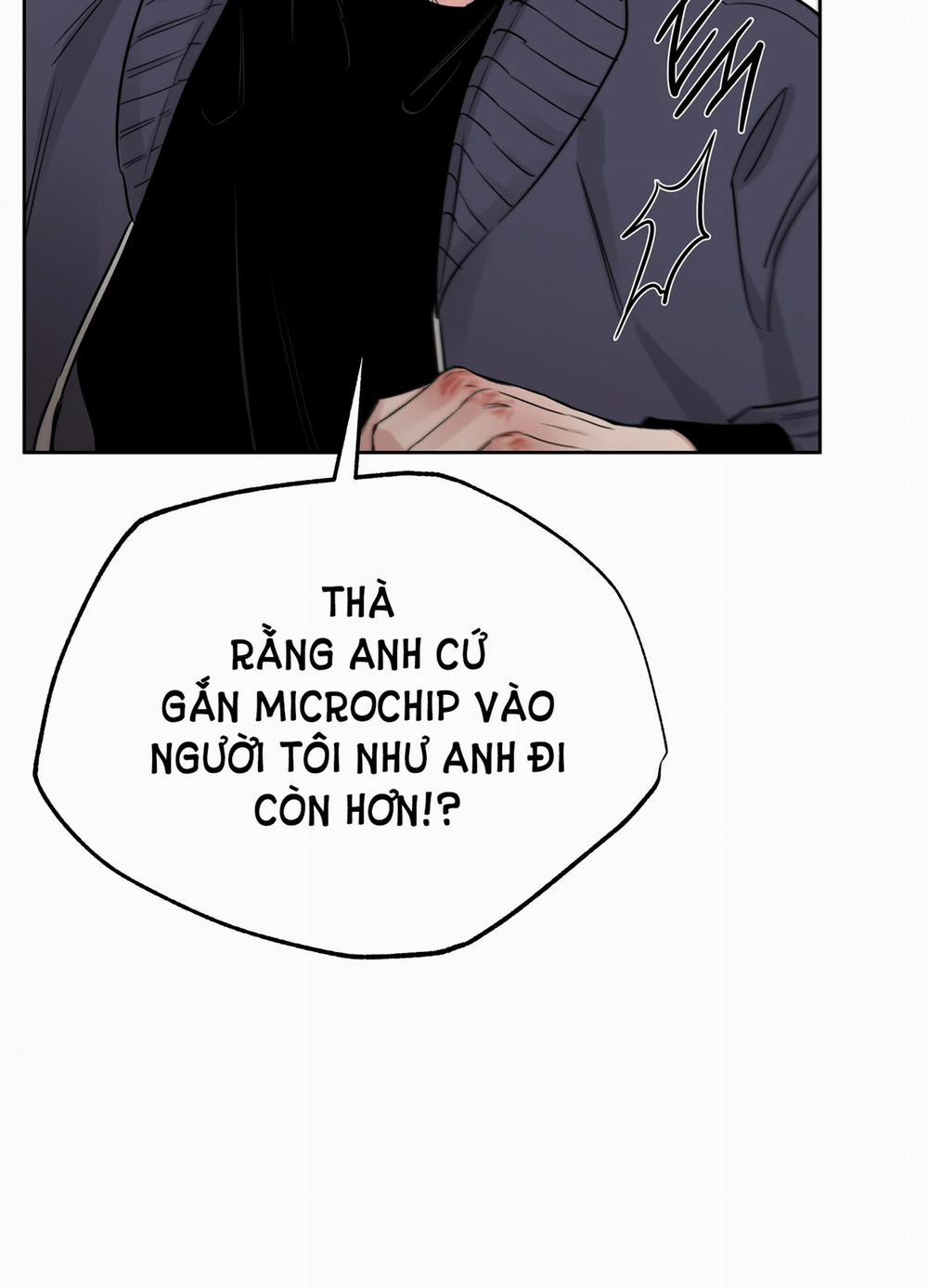 Hoa Hồng Và Ly Champagne 65.2 trang 41