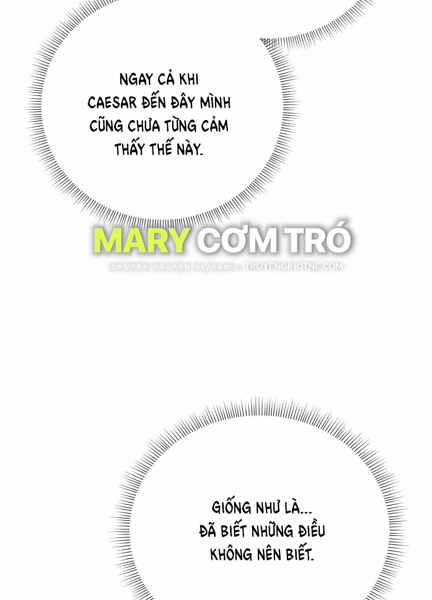 Hoa Hồng Và Ly Champagne 70.1 trang 23