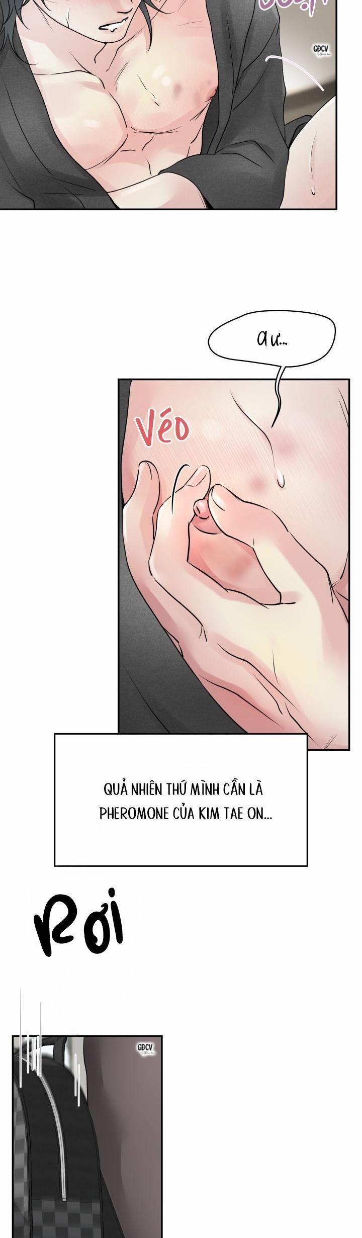 HOA KHÔNG HƯƠNG 6 0 trang 26