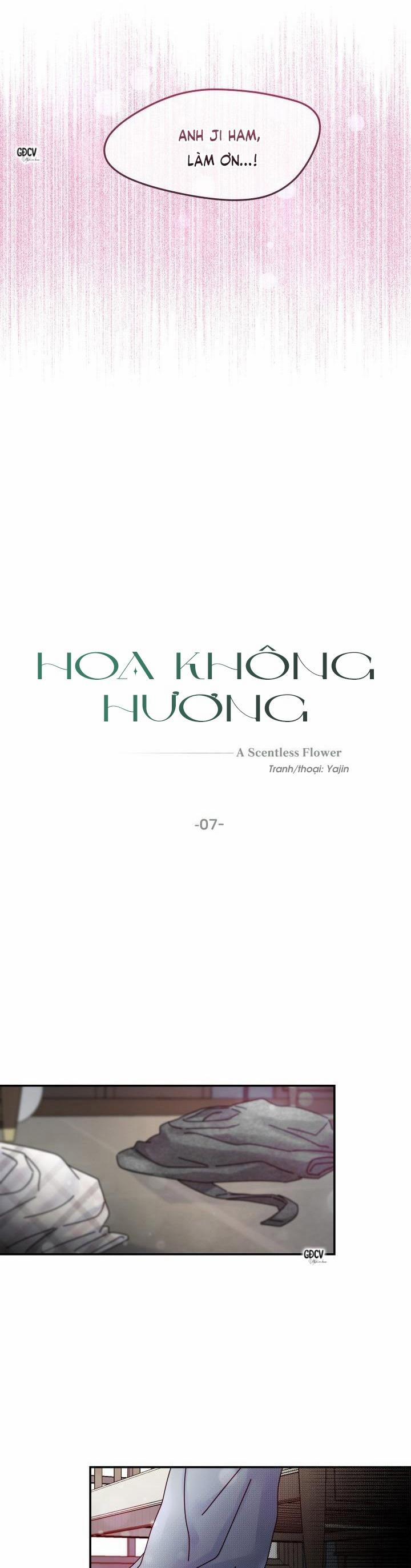 HOA KHÔNG HƯƠNG 7 0 trang 12