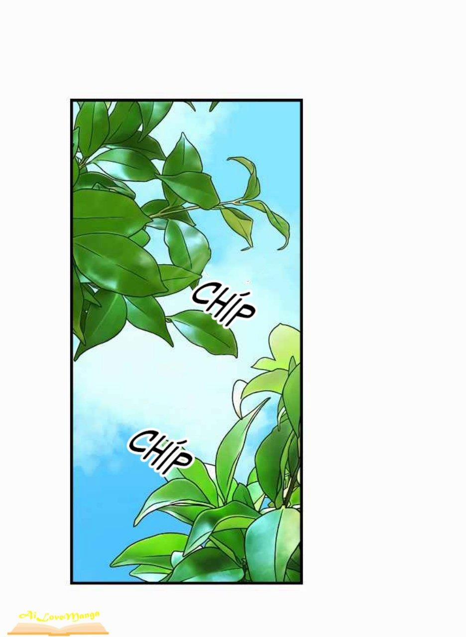 Hòa Khúc Của Hoa Và Gió 11 trang 33