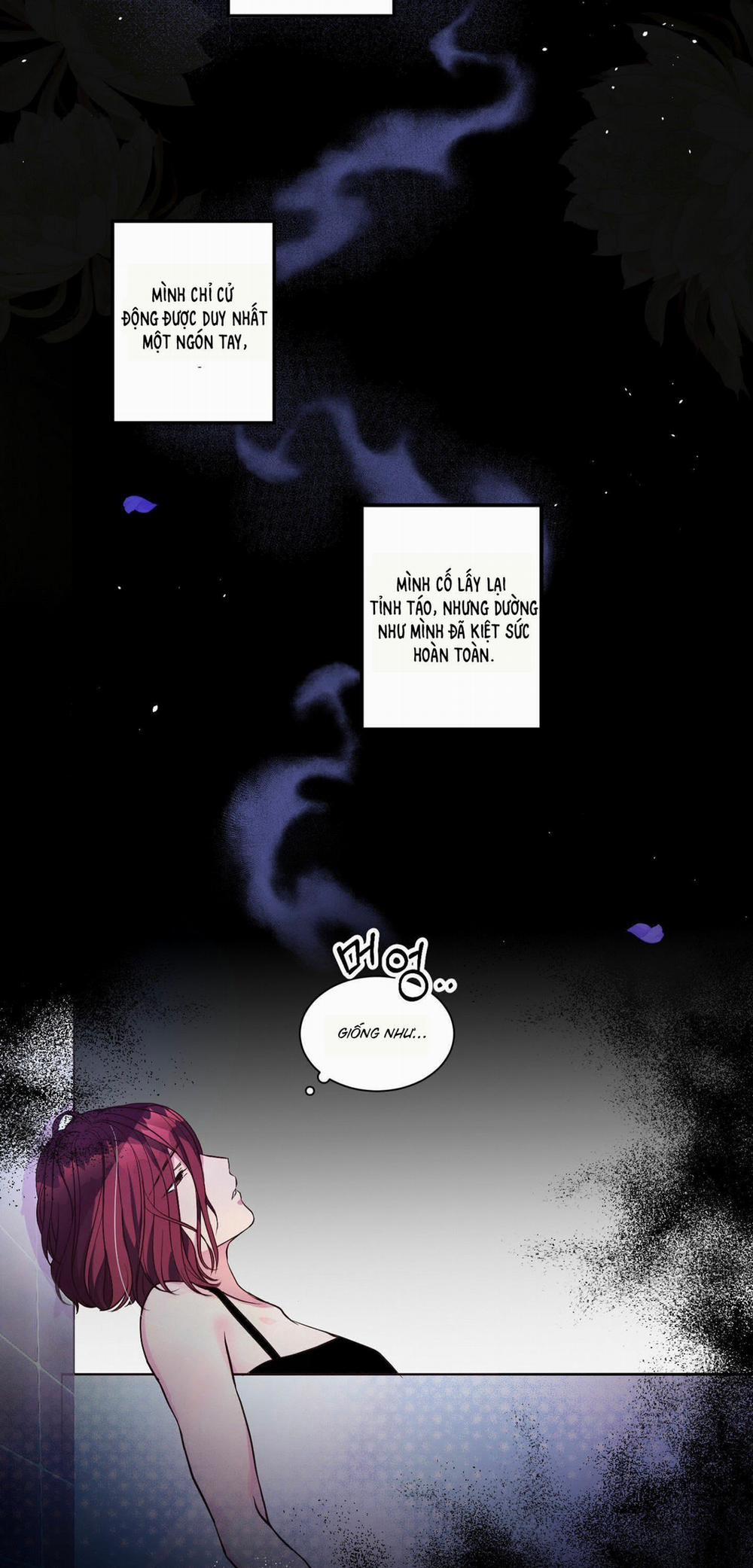 Hoa Là Hoa, Lá Là Lá 1 trang 6