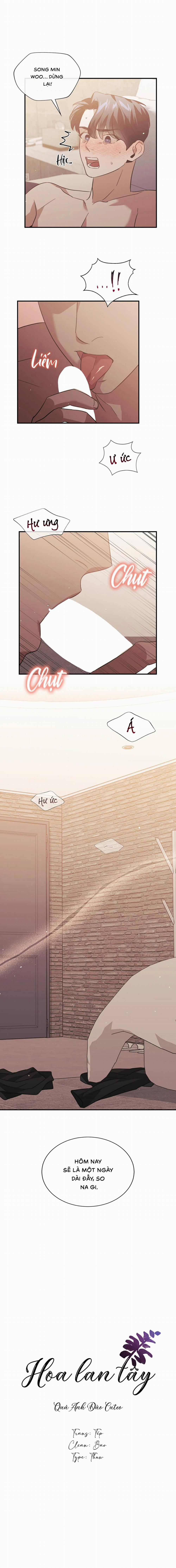 Hoa Lan Tây 30 trang 0