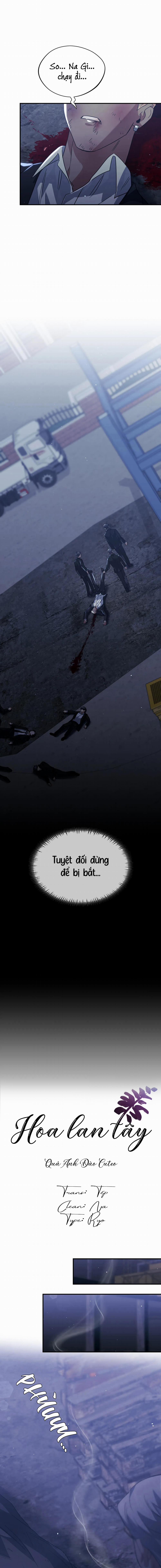 Hoa Lan Tây 39 trang 0