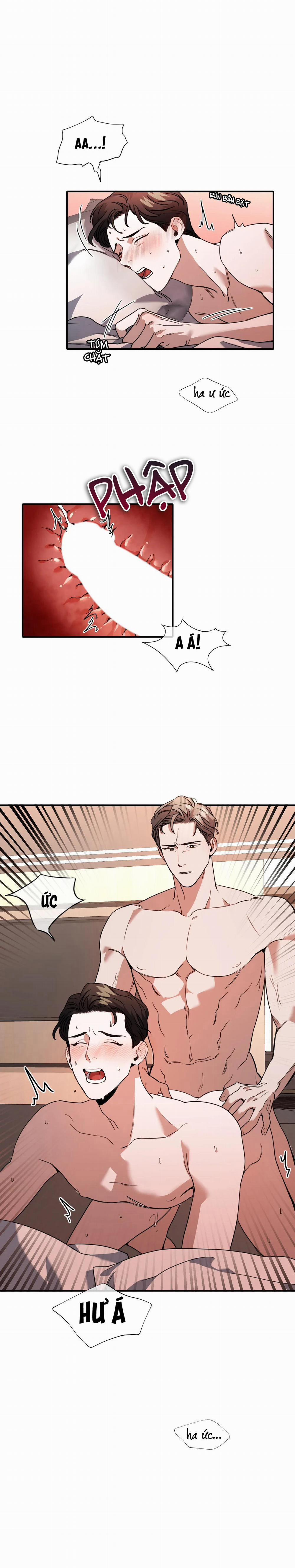 Hoa Lan Tây 8 trang 0