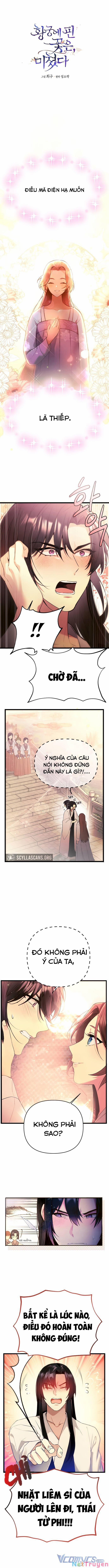 Hoa Nở Trong Cung Diên Hy Công Lược 2 trang 0