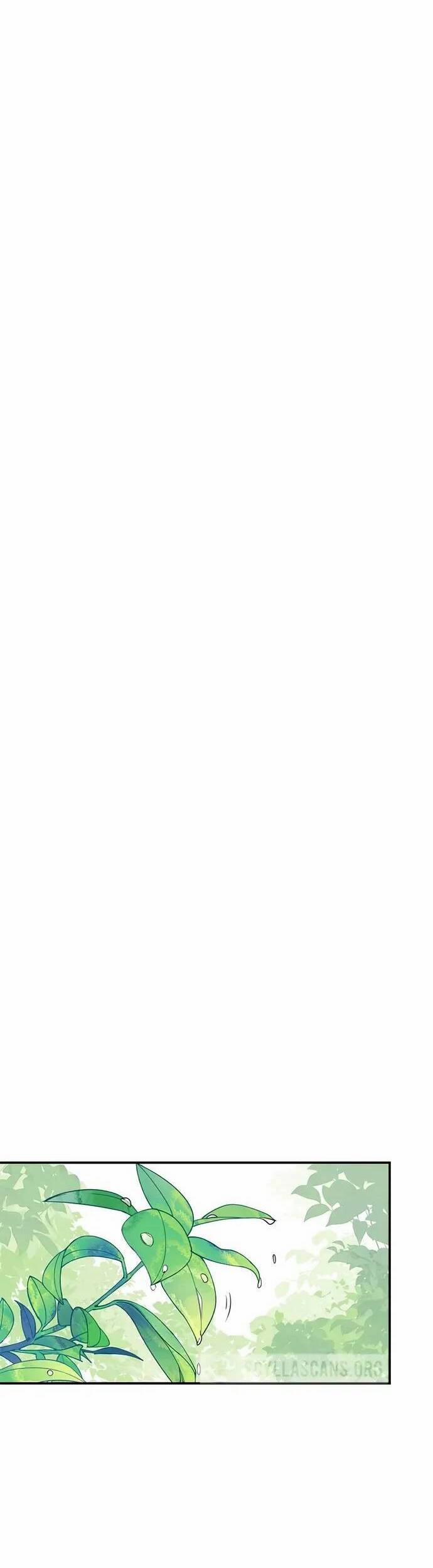 Hoa Nở Trong Cung Diên Hy Công Lược 7 trang 25