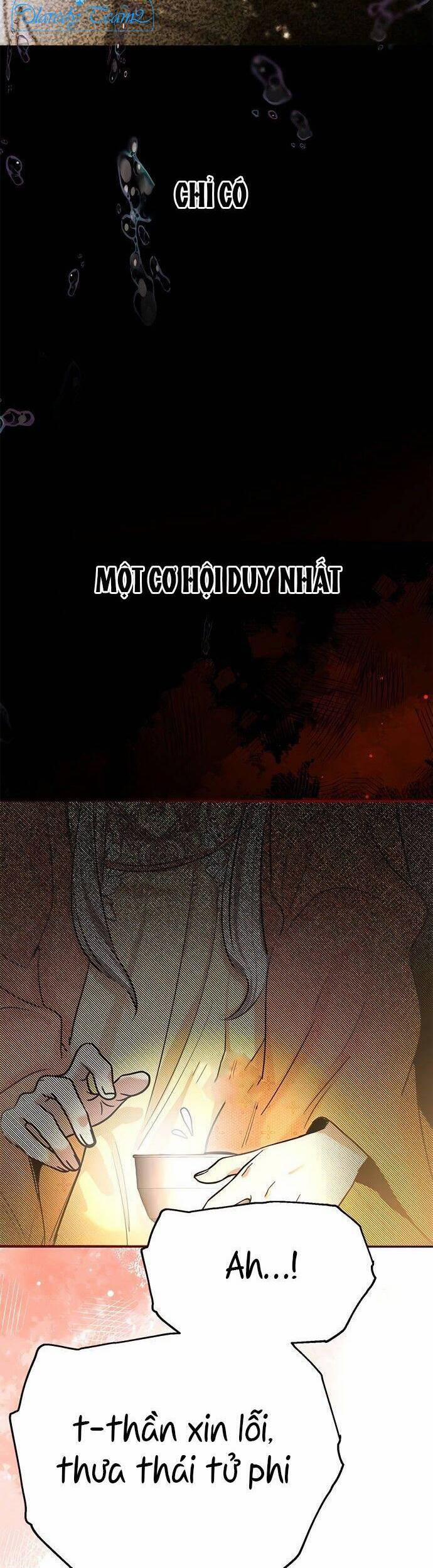 Hoa Nở Trong Cung Diên Hy Công Lược 8 trang 41