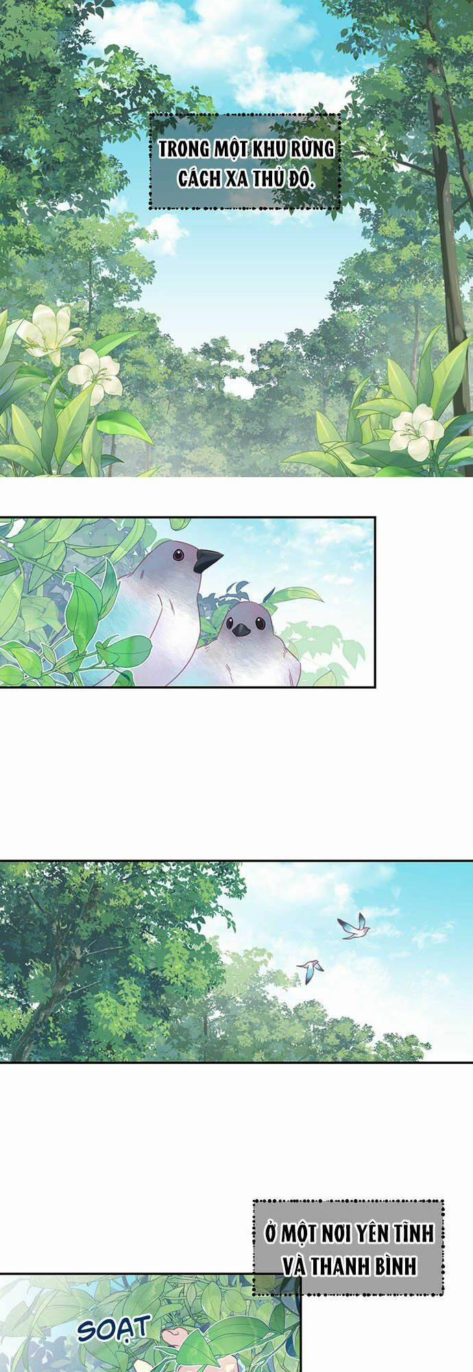 Hóa Ra Đó Chính Là Tình Yêu, Quỷ Vương! 1 trang 0