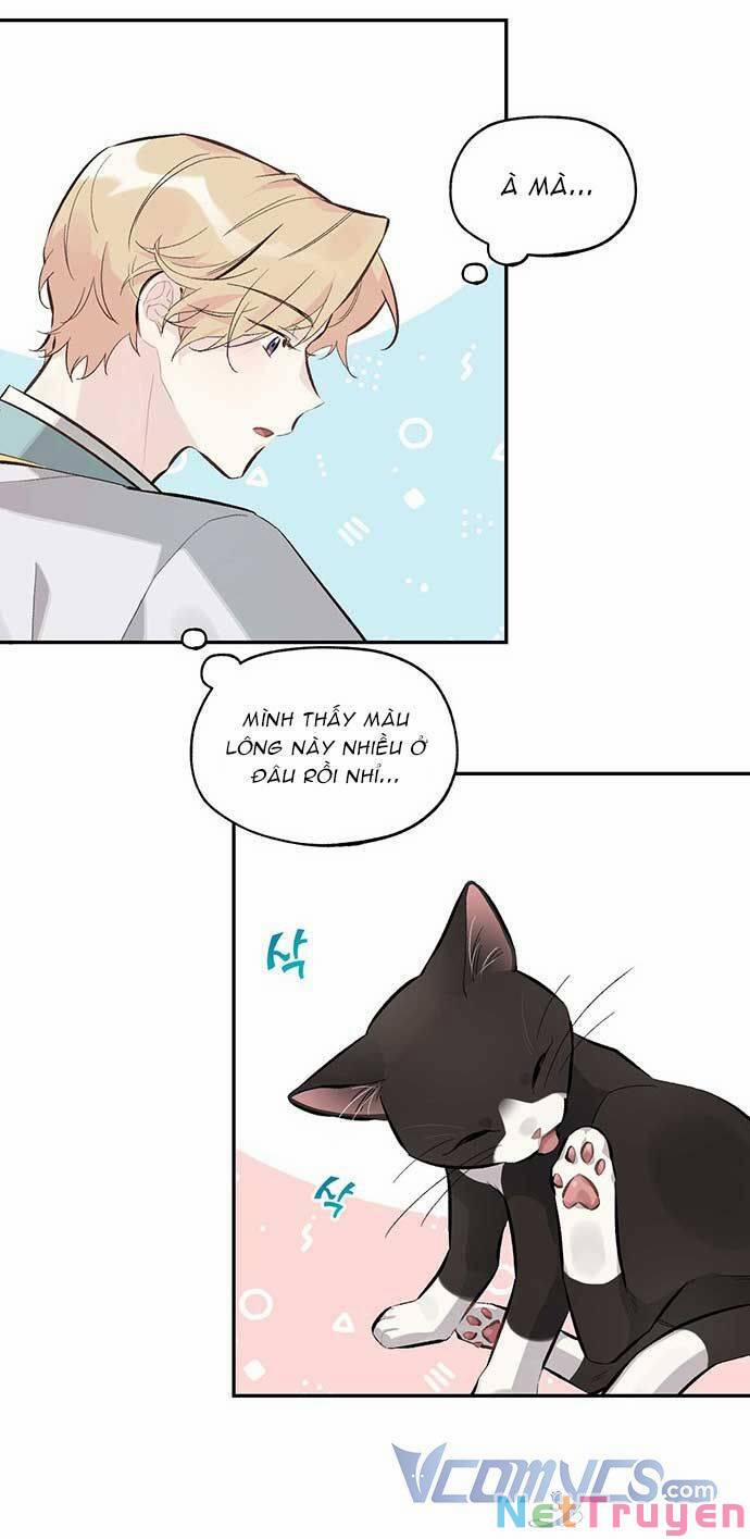 Hóa Ra Đó Chính Là Tình Yêu, Quỷ Vương! 16 trang 8