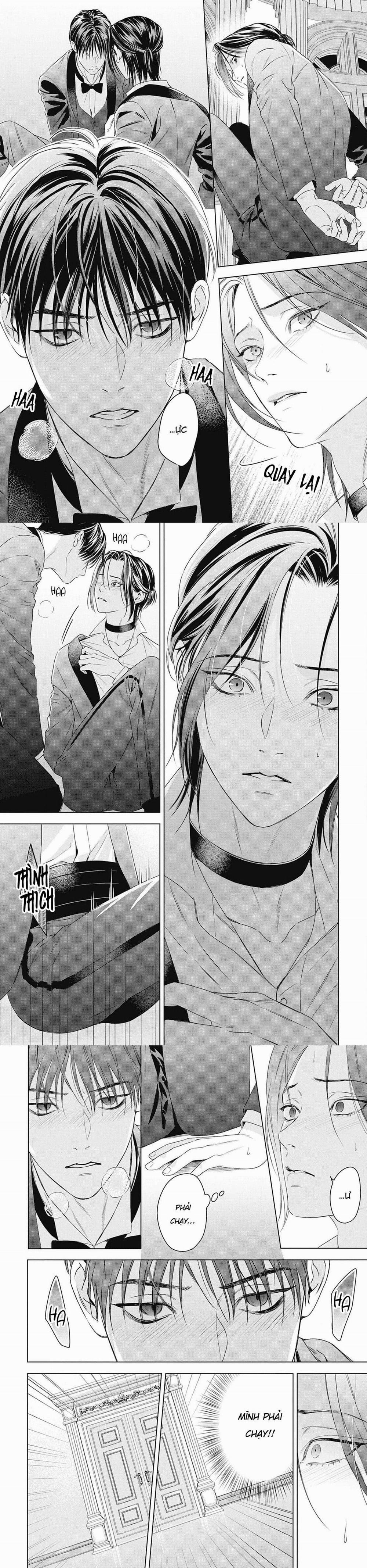 Hòa thanh dưới ánh nến hoa cùng tình yêu của Omega 2 trang 10