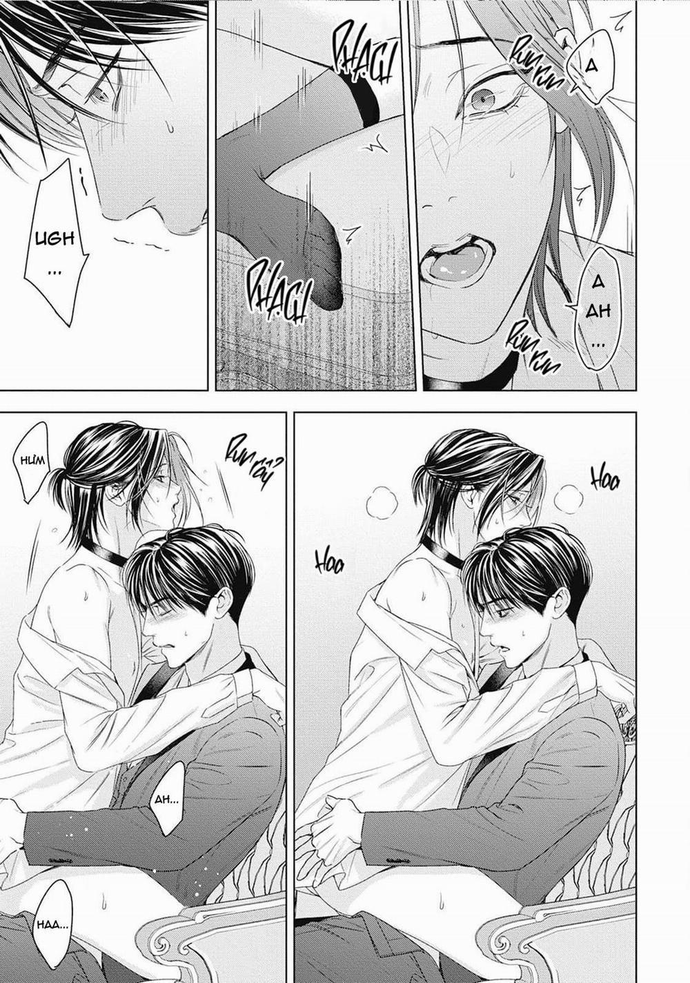 Hòa thanh dưới ánh nến hoa cùng tình yêu của Omega 3 trang 19