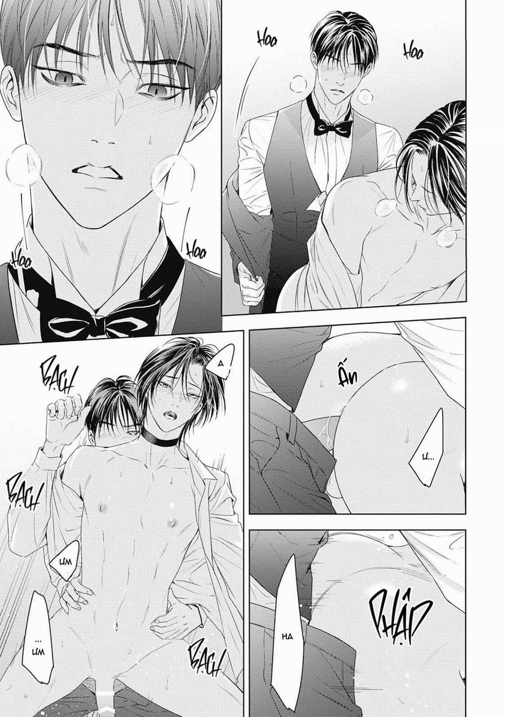 Hòa thanh dưới ánh nến hoa cùng tình yêu của Omega 3 trang 23