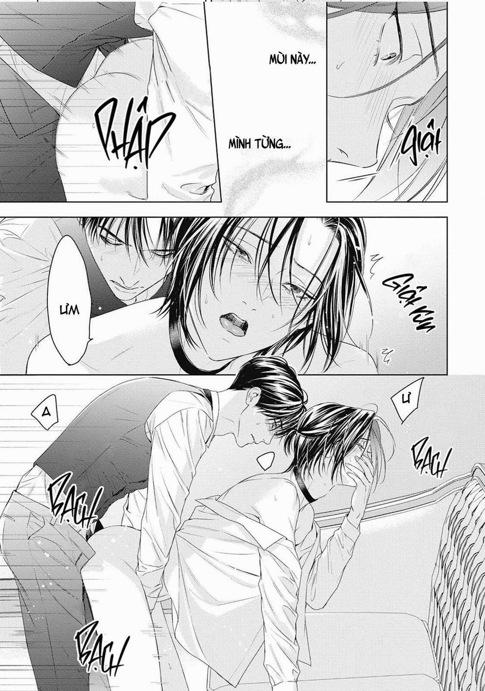 Hòa thanh dưới ánh nến hoa cùng tình yêu của Omega 3 trang 25