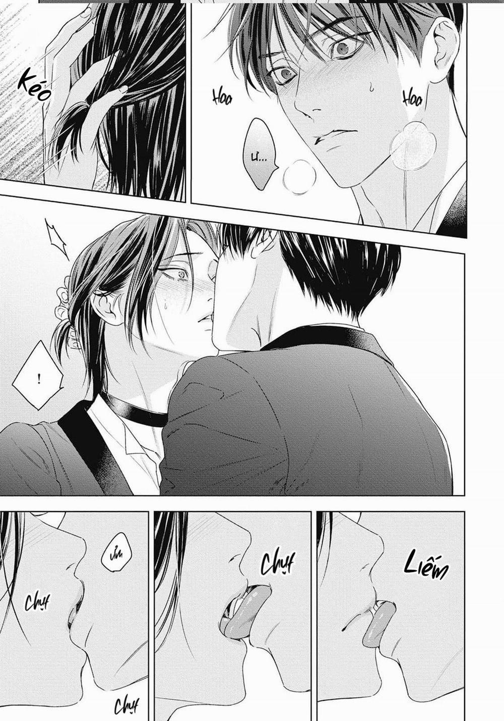 Hòa thanh dưới ánh nến hoa cùng tình yêu của Omega 3 trang 3