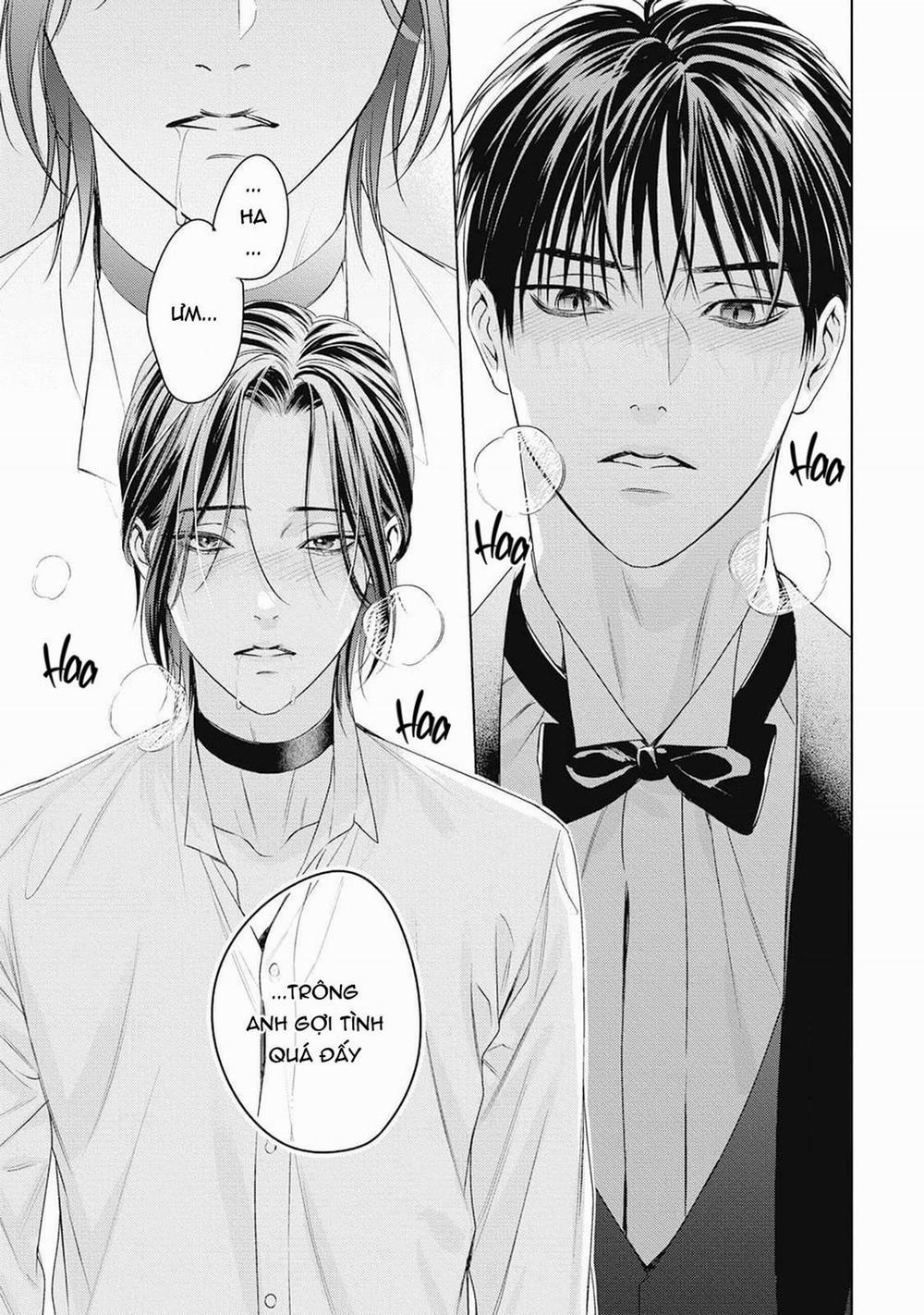 Hòa thanh dưới ánh nến hoa cùng tình yêu của Omega 3 trang 7